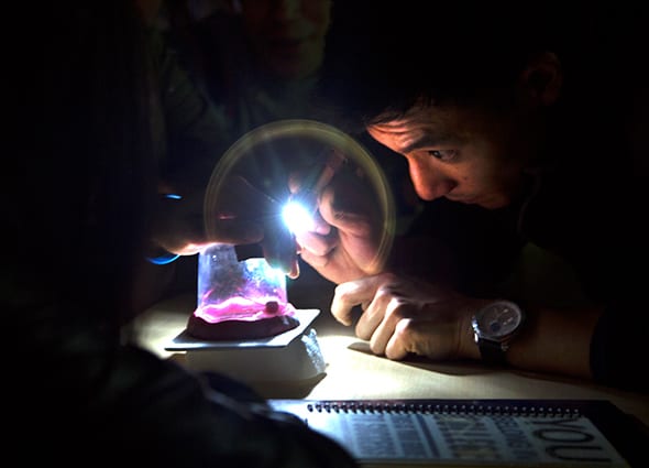 A student shines a flashlight on a glass bowl with a pink slimy substance at the bottom.
