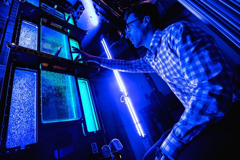 A researcher studies water flow through a specially built system with bubbles surging through it, lit in blues and greens